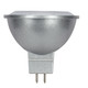 Light Bulb (S8639)