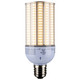 Light Bulb (S8908)