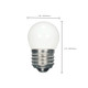 Light Bulb (S9161)