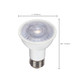 Light Bulb (S9388)