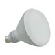 Light Bulb (S9635)