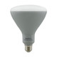 Light Bulb (S9635)