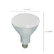 Light Bulb (S9635)