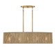 Ashe Five Light Chandelier (1-1738-5-320)