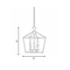 Townsend Three Light Pendant (3-420-3-322)