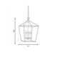 Townsend Four Light Pendant (3-421-4-322)
