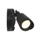 LED Double Flood Light (4-FLOOD-A2-3000K-BK)