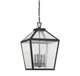 Woodstock Four Light Outdoor Hanging Lantern (5-104-BK)