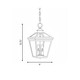 Ellijay Three Light Hanging Lantern (5-146-BK)