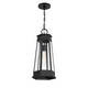 Payne One Light Outdoor Hanging Lantern (5-208-BK) Payne One Light Outdoor Hanging Lantern (5-208-BK)