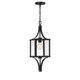 Savoy House - 5-475-144 - One Light Outdoor Hanging Lantern - Raeburn - Matte Black and Weathered Brushed Brass