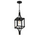 Raeburn One Light Outdoor Hanging Lantern (5-475-144)