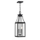 Savoy House - 5-608-BK - Three Light Outdoor Hanging Lantern - Emery - Matte Black