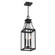 Emery Three Light Outdoor Hanging Lantern (5-608-BK)