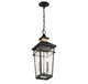 Kingsley Two Light Outdoor Hanging Lantern (5-717-143)