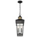 Kingsley Two Light Outdoor Hanging Lantern (5-717-143)