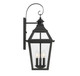 Jackson Three Light Outdoor Wall Sconce (5-722-153)