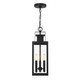 Ascott Three Light Outdoor Hanging Lantern (5-827-BK)