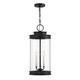 Englewood Three Light Outdoor Hanging Lantern (5-901-BK)