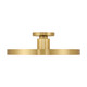 Thayer LED Semi-Flush Mount (6-2969-1-322)