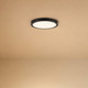 LED Flush Mount (6-3333-10-BK)