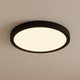 LED Flush Mount (6-3333-12-BK)