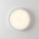LED Flush Mount (6-3333-7-WH)