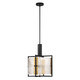 Hayward Three Light Pendant (7-1699-3-143)