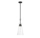 Lakewood One Light Pendant (7-1831-1-89)
