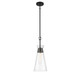 Lakewood One Light Pendant (7-1831-1-89)