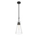 Lakewood One Light Pendant (7-1831-1-89)