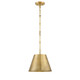 Alden One Light Pendant (7-232-1-322)