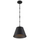 Alden One Light Pendant (7-232-1-89)