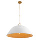 Alta One Light Pendant (7-2918-1-157)