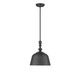 Berg One Light Pendant (7-3751-1-89)