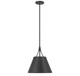 Willis One Light Pendant (7-4499-1-89)
