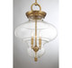 Bergdorf Three Light Pendant (7-5801-3-322)