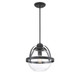 Pendleton One Light Pendant (7-7201-1-89)