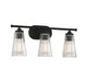 Chantilly Three Light Bathroom Vanity (8-1745-3-BK)