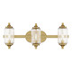 Holton Three Light Bathroom Vanity (8-3024-3-322)