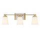 Savoy House - 8-6901-3-322 - Three Light Bathroom Vanity - Darby - Warm Brass