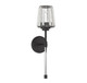 Garnet One Light Wall Sconce (9-6001-1-89)