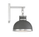 Corning One Light Wall Sconce (9-8884-1-175)