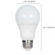 Light Bulb (S11413)