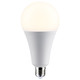 Light Bulb (S11465)