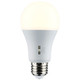 Light Bulb (S11793) Light Bulb (S11793)