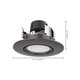 LED Downlight (S11856)