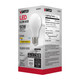 Light Bulb (S12419)