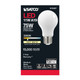 Light Bulb (S12427)
