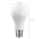 Light Bulb (S12433)